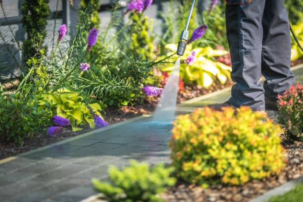 Best Sidewalk and Walkway Cleaning  in Haslett, MI